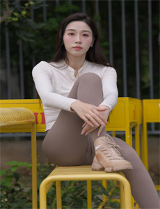 林肯律师